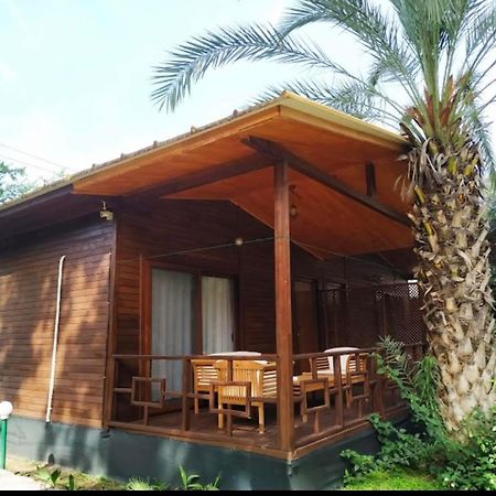 Olympos Yavuz Hotel Çıralı Buitenkant foto