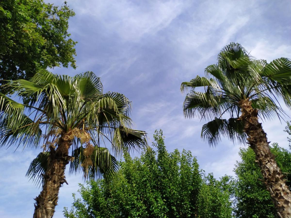 Olympos Yavuz Hotel Çıralı Buitenkant foto