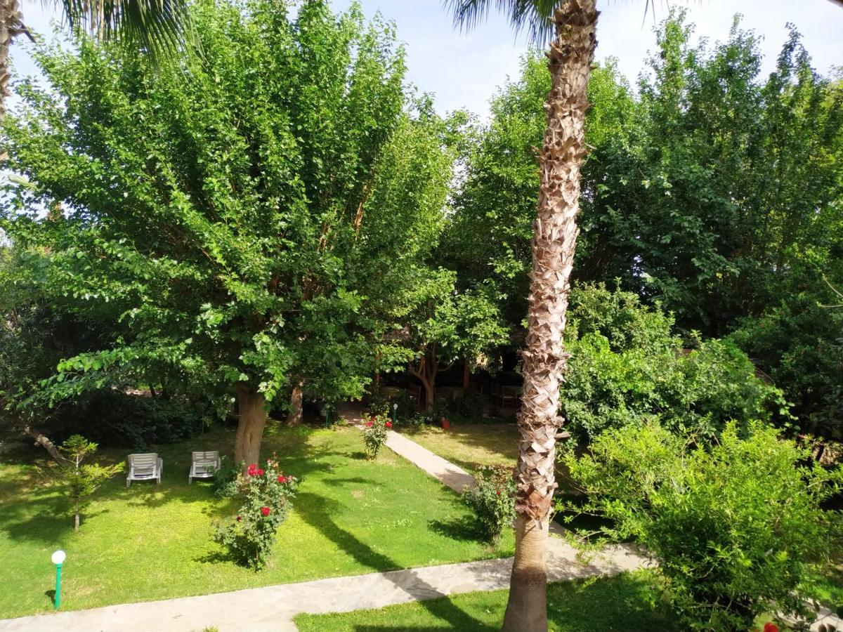 Olympos Yavuz Hotel Çıralı Buitenkant foto