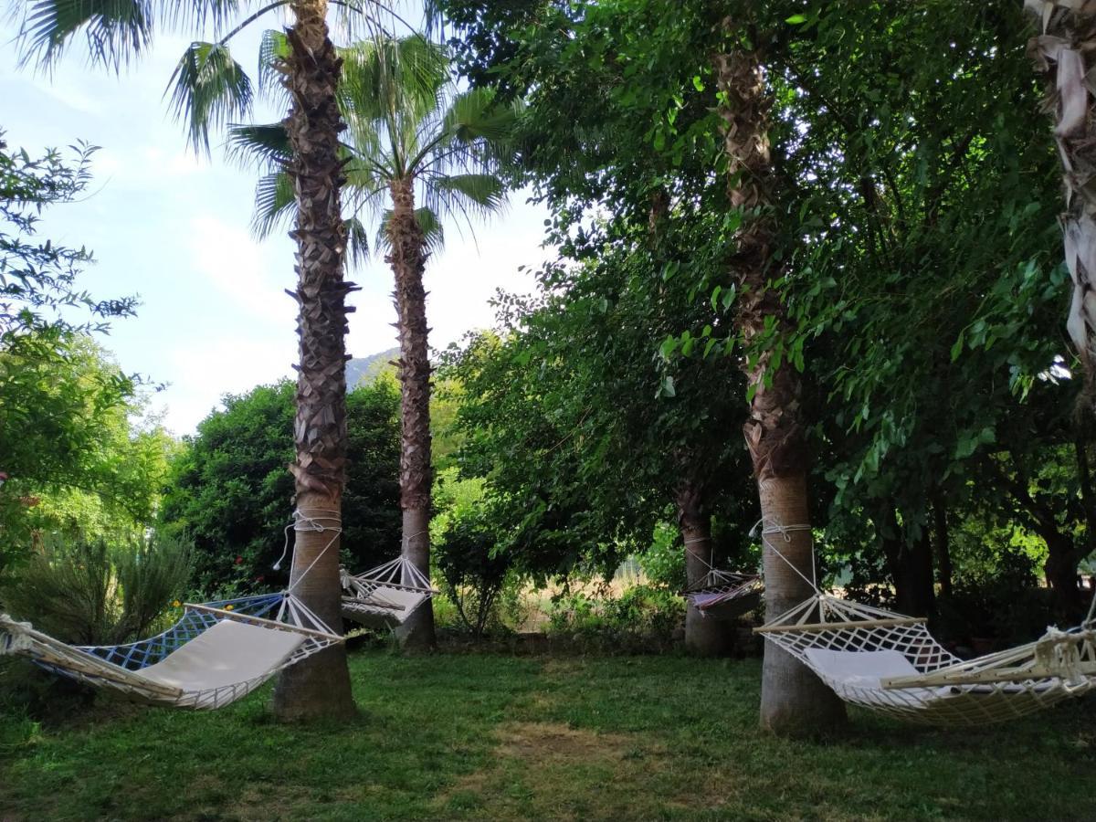 Olympos Yavuz Hotel Çıralı Buitenkant foto