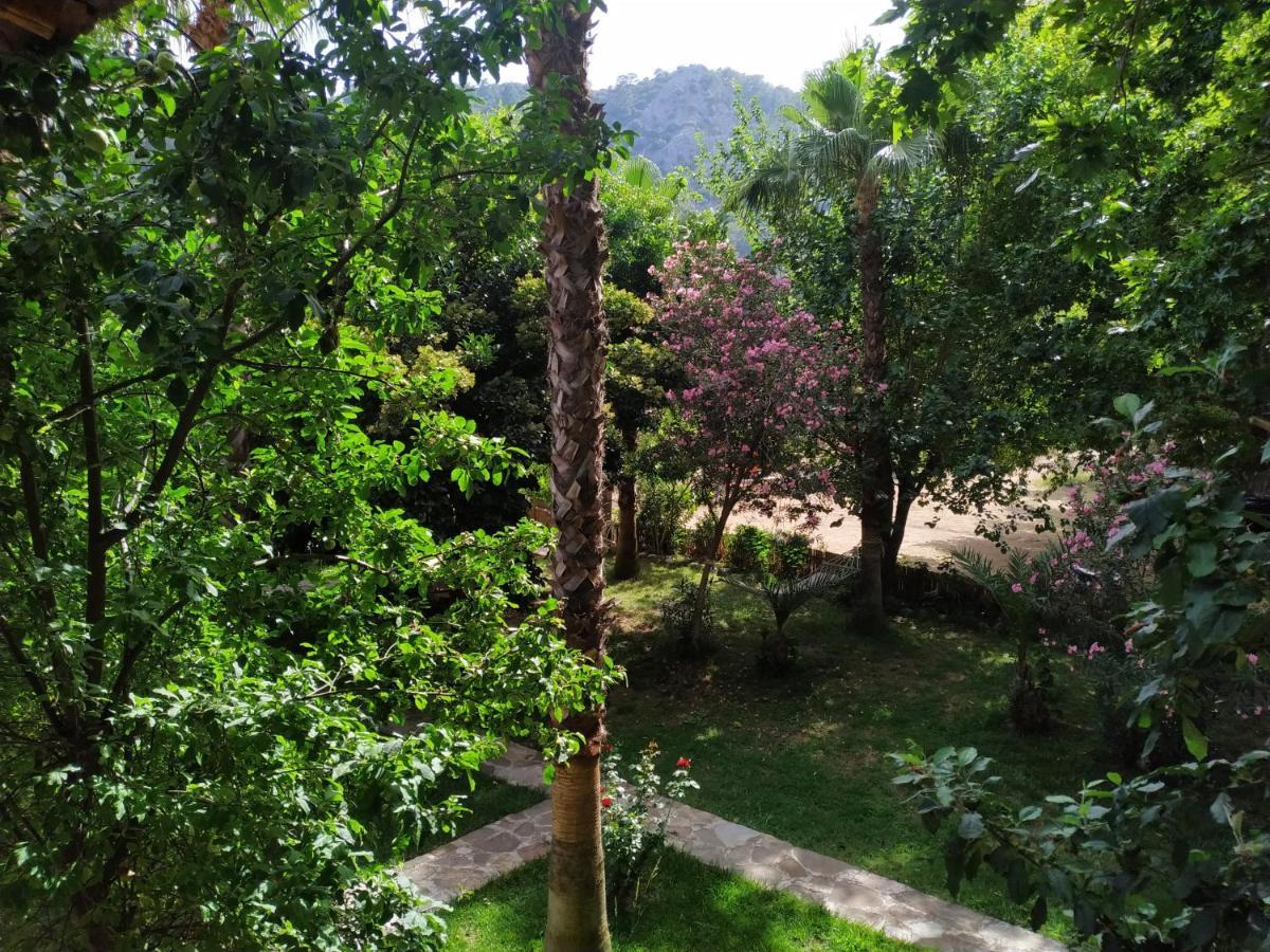 Olympos Yavuz Hotel Çıralı Buitenkant foto