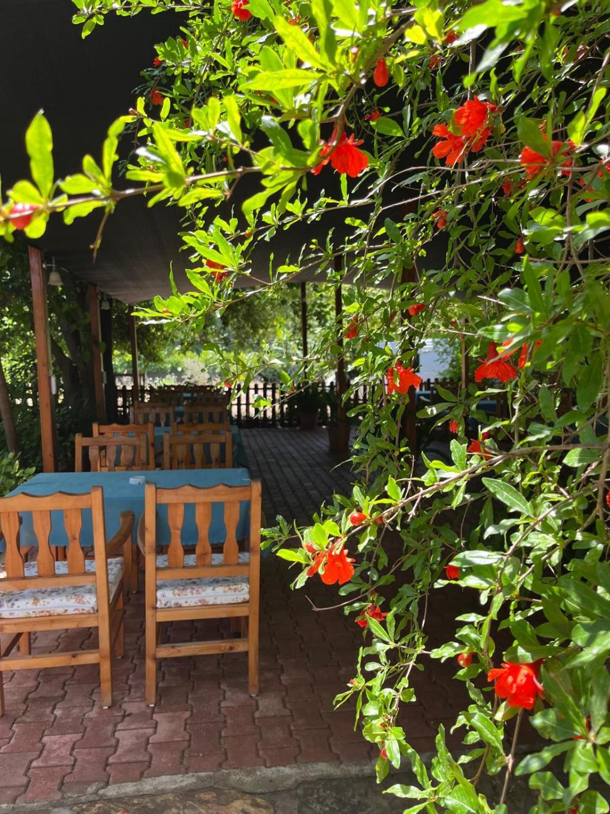 Olympos Yavuz Hotel Çıralı Buitenkant foto