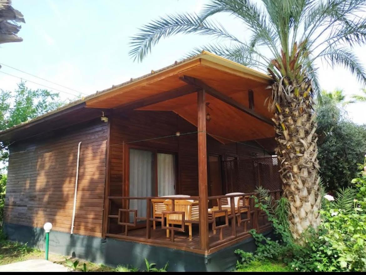 Olympos Yavuz Hotel Çıralı Buitenkant foto